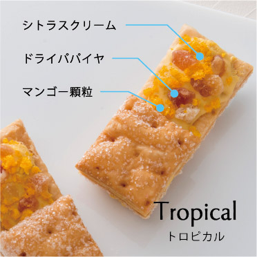 Tropical トロピカル